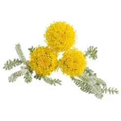 Bostikhost Magasin -Bostikhost Magasin 10778714 2