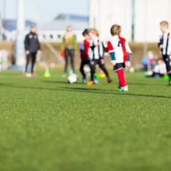 Gazon Artificiel Werkapro, épaisseur 1 Cm 1 X 4 M Soit 4m2 -Bostikhost Magasin 11589255 5