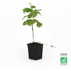 Bostikhost Magasin -Bostikhost Magasin 12130095 2