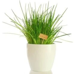 Bostikhost Magasin -Bostikhost Magasin 12302641 2