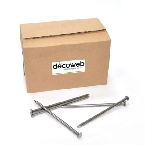 Boîte De 5 Kg De Clous Droits (environ 190 Clous) Pour Gazon Synthétique 1 Boîte De 5 Kg De Clous Droits (environ 190 Clous) Pour Gazon Synthétique