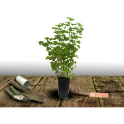 Bostikhost Magasin -Bostikhost Magasin 24357047 2