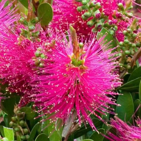 Rince 3 Rince – Image 3