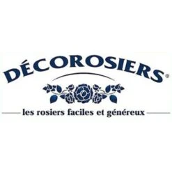 Rosier Arbustif Decorosier® Vezuvia® 'Noare'/Pot De 2 L