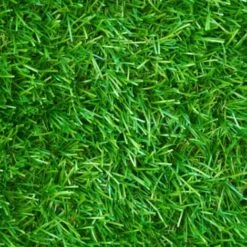 Gazon Synthétique Artificiel 1x10 M 30 Mm D'épaisseur Pour Jardin Et Balcon 7 Gazon Synthétique Artificiel 1x10 M 30 Mm D'épaisseur Pour Jardin Et Balcon -Bostikhost Magasin 28222753 3