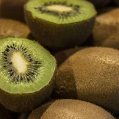Kiwi Chinensis Hayward (Femelle)/Godet 9 Kiwi Chinensis Hayward (Femelle)/Godet -Bostikhost Magasin 43678647 5