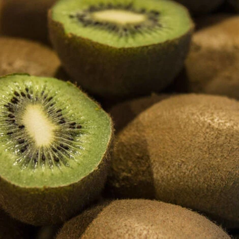 Kiwi Chinensis Hayward (Femelle)/Godet 5 Kiwi Chinensis Hayward (Femelle)/Godet â Image 5