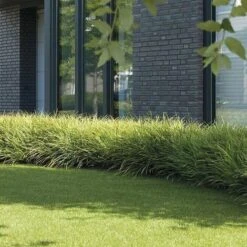 Pelouse Artificielle Luxury Class Résistant Aux UV Windsor Hauteur: 25 Mm 200 X 50 Cm 9 Pelouse Artificielle Luxury Class Résistant Aux UV Windsor Hauteur: 25 Mm 200 X 50 Cm -Bostikhost Magasin 46904820 5