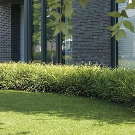 Pelouse Artificielle Luxury Class Résistant Aux UV Windsor Hauteur: 25 Mm 200 X 50 Cm 5 Pelouse Artificielle Luxury Class Résistant Aux UV Windsor Hauteur: 25 Mm 200 X 50 Cm – Image 5