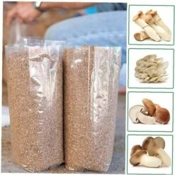 Sacs De Poussée De Champignons Champignons Spawn Crown Sacs Sacs Scellables Spawn/Sacs Sacs De Culture 15X35cm Fontainebleau Pack De 50 -Bostikhost Magasin 47207009 4