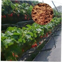 Noix De Coco Bloc Fibre De Coco Naturel Coir Coco Brique Plantation De Noix De Coco Du Sol Pour La Semence, Compost 20X10cm Fontainebleau -Bostikhost Magasin 47207010 3