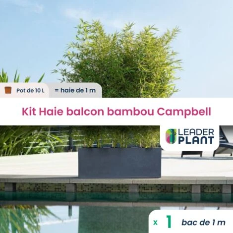 Haie Brise-vue Balcon Bambou 'CAMPBELL' 10L En KIT 1 Haie Brise-vue Balcon Bambou 'CAMPBELL' 10L En KIT