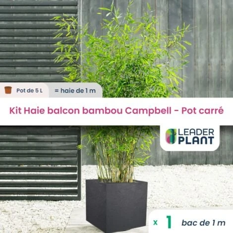 Kit Bambou Fargesia Campbell En Pot De 5L Avec Bac Carré Et Les Accessoires De Plantation 1 Kit Bambou Fargesia Campbell En Pot De 5L Avec Bac Carré Et Les Accessoires De Plantation