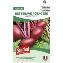 Betterave Rouge Plate D'Egypte. . Marque : Sanrival. Réf. : 0030