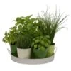 Plateau 7 Herbes Aromatiques. Multi. Marque : Florex. Réf. : 9530