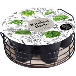 Plateau 6 Herbes Aromatiques Noir Mat. Multi. Marque : Florex. Réf. : 9536