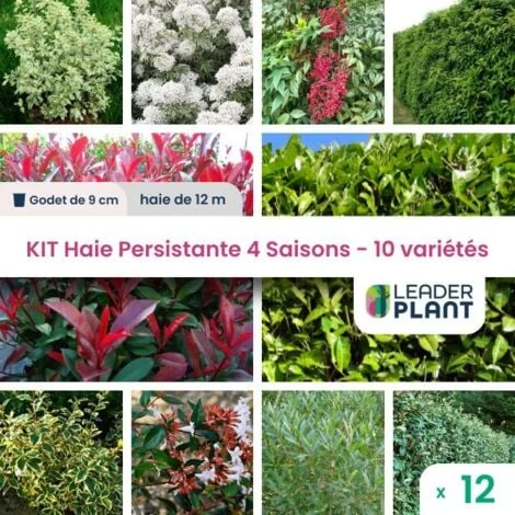 KIT Haie Persistante 4 Saison - 10 Variété- 12 Plante En Godet 1 KIT Haie Persistante 4 Saison - 10 Variété- 12 Plante En Godet