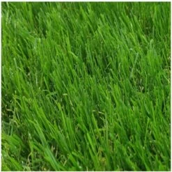 Gazon Synthétique 40mm Taille 200X1000 CM