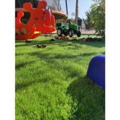 Gazon Synthétique 30mm Taille 200x250 CM -Bostikhost Magasin 59608759 3