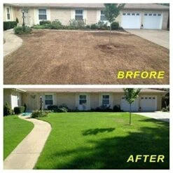 Rouleau De Tapis De Semences D'herbe, Coussin De Graines De Gazon Biodégradable, Solution De Croissance De Plantes De Jardin Pour Pelouses, Propagation Agressive Des Graines De Gazon (sans Graines) JU -Bostikhost Magasin 65414155 4