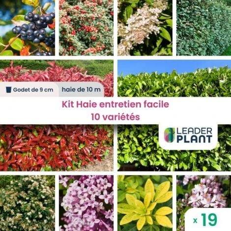 Kit Haie Brise Vue Entretien Facile – 10 Variétés – Lot 19 Plants En Godet 1 Kit Haie Brise Vue Entretien Facile – 10 Variétés – Lot 19 Plants En Godet