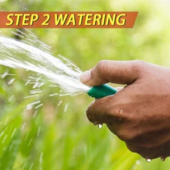 Couverture Biodégradable Non Tissée De Graine D'herbe De Couverture D'Eco De Jardinage 3M0.2M 8 Couverture Biodégradable Non Tissée De Graine D'herbe De Couverture D'Eco De Jardinage 3M0.2M -Bostikhost Magasin 70068536 4