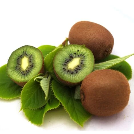 Kiwi Chinensis Solo (autofertile)/Pot De 1,5L 1 Kiwi Chinensis Solo (autofertile)/Pot De 1,5L