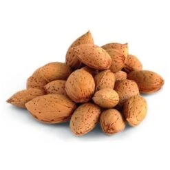 Amandier Nain Dulcis/Pot De 5L