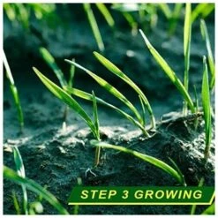 Tapis D'herbe Biodégradable, Tapis D'herbe Verte Pour Pique-nique, Tapis De Germination Des Plantes Pour Faire Pousser Des Graines D'herbe Dans Le Patio, La Pelouse, Le Jardin, Le Patio (16 -Bostikhost Magasin 87238287 5