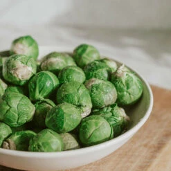 3 Plants Choux Bruxelles Bright F1