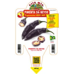 PLANTE DE PIMENT PIMIENTA DE NEIDE (EN POT Ø 14CM)