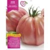 3 PLANTS EN POT Ø 10CM DE TOMATE CŒUR DE BOEUF ROSE LIGURE