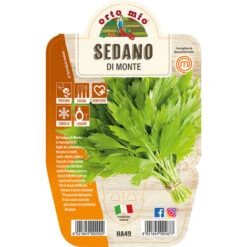 1 VASE MONTE CÉLERI 14CM